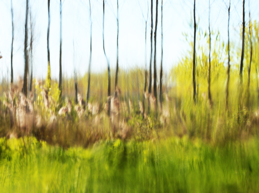 Gilles-Michel-photographies-3