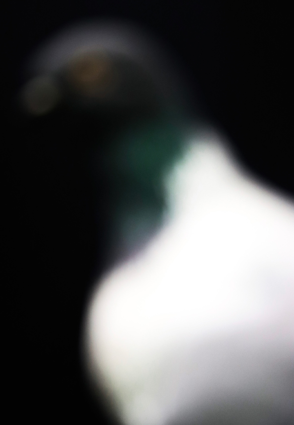 sentinelles13-Gilles-Michel-photographies3