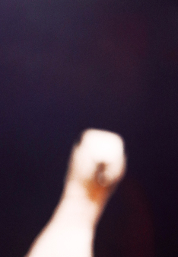 sentinelles16-Gilles-Michel-photographies3