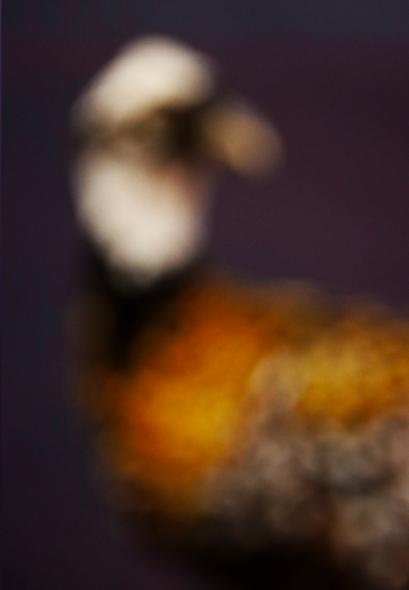 sentinelles20-Gilles-Michel-photographies3