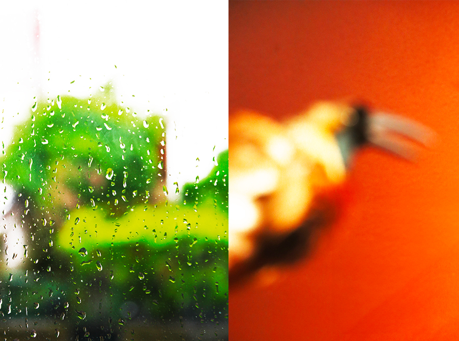 Gilles-Michel-photographe-plasticien-7